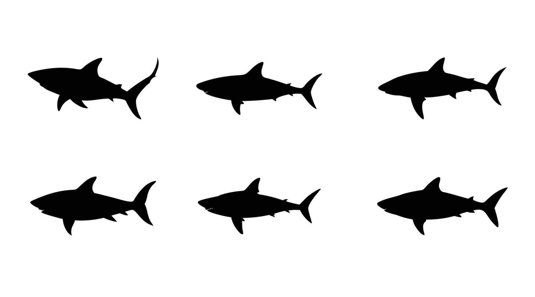 Shark silhouette isolated vector