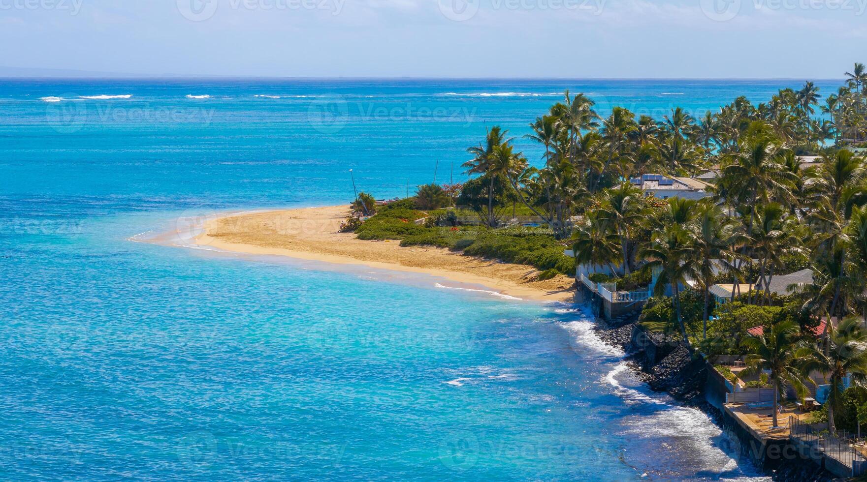 Turquoise ocean meets sandy beach on Oahu, Hawaii, with palm trees and residential homes along the shoreline under clear skies and gentle waves. photo