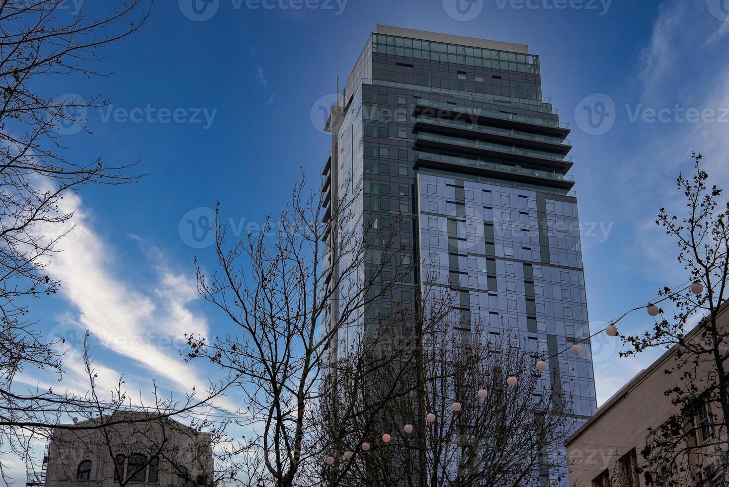 A sleek glass high rise building in downtown Seattle, USA, framed by bare tree branches and decorative lights under a clear blue sky with clouds. photo