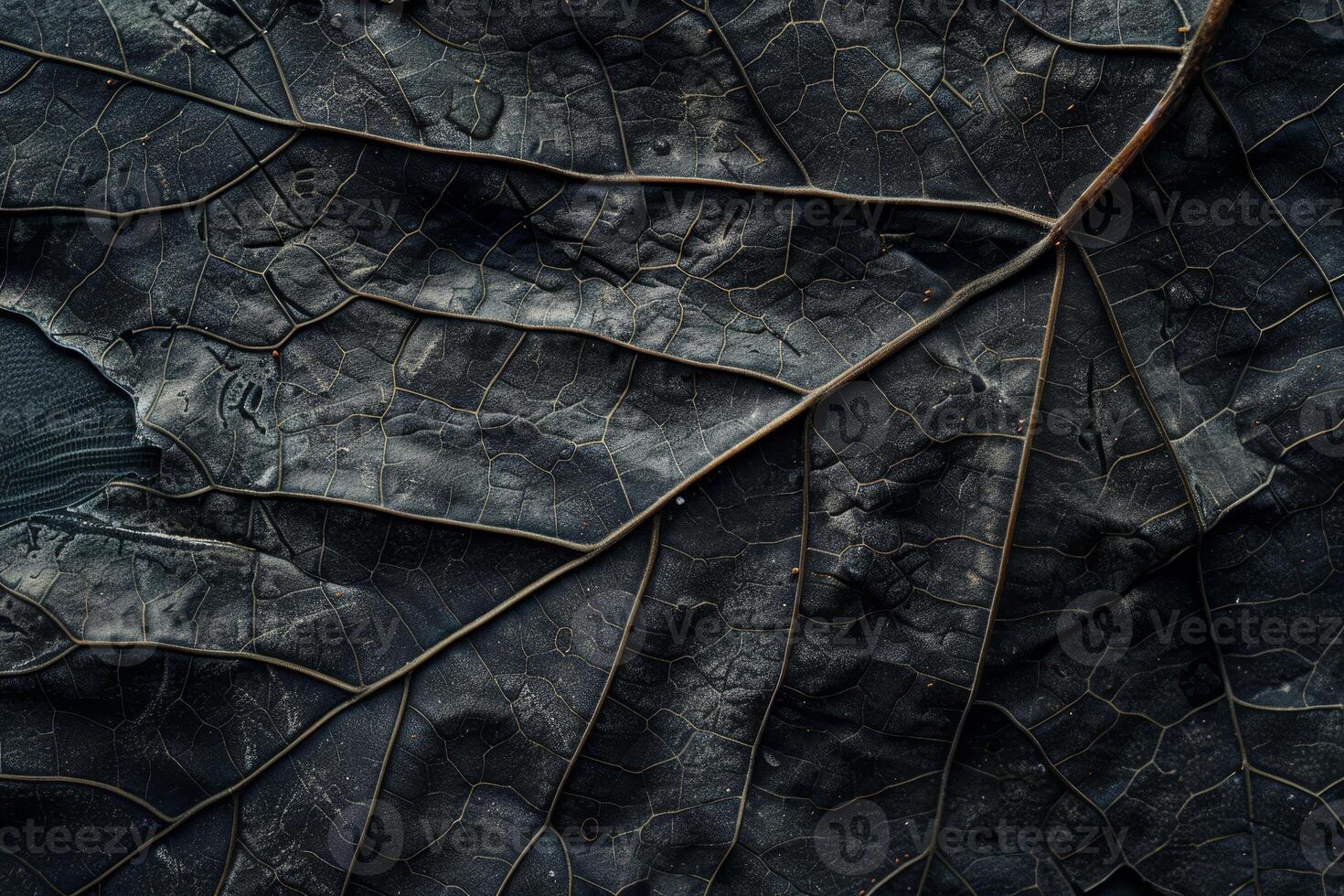 A leaf is shown in the air with a dark background photo