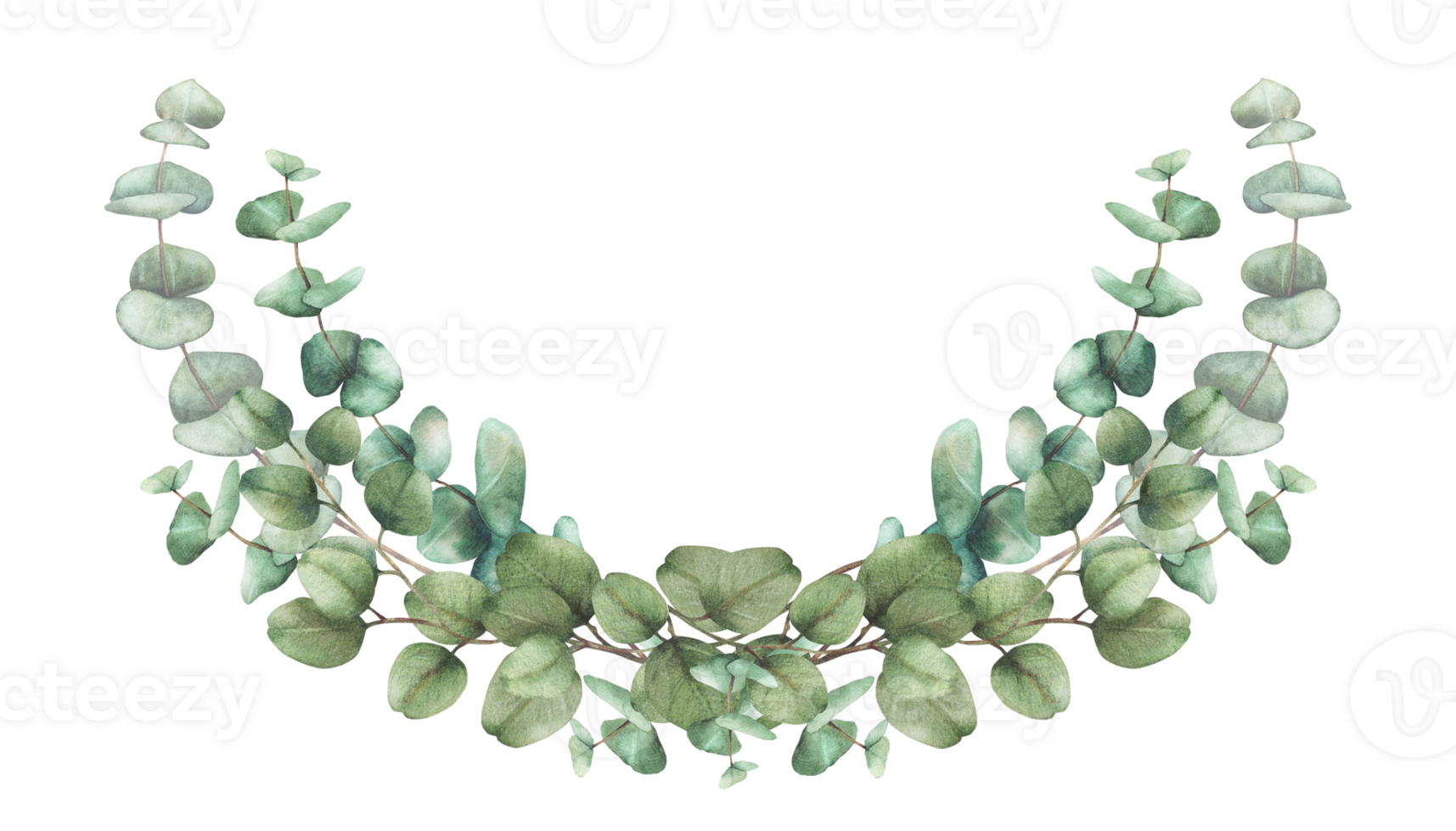 Eucalyptus plant bouquet Greenery Watercolor semicircular composition. Green silver dollar tree branches with round leaves. Hand drawn illustration for wedding, baptism card isolated from background png