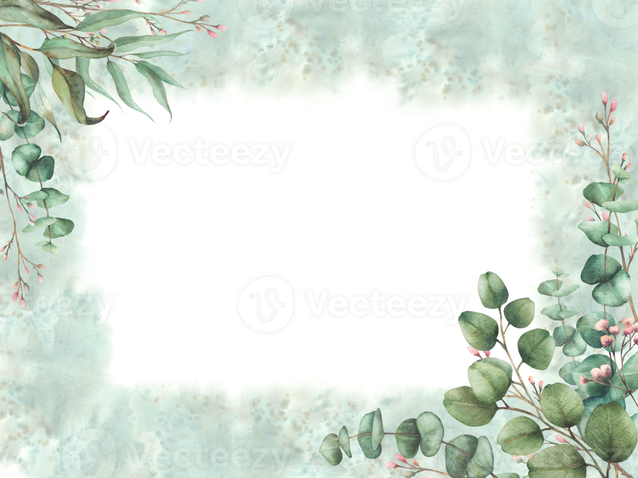 Eucalyptus seeded greenery, silver dollar plant and Laurel branch with pink buds and flowers. Rectangular card template on Watercolor green splashes spotted background Hand drawn isolated illustration png