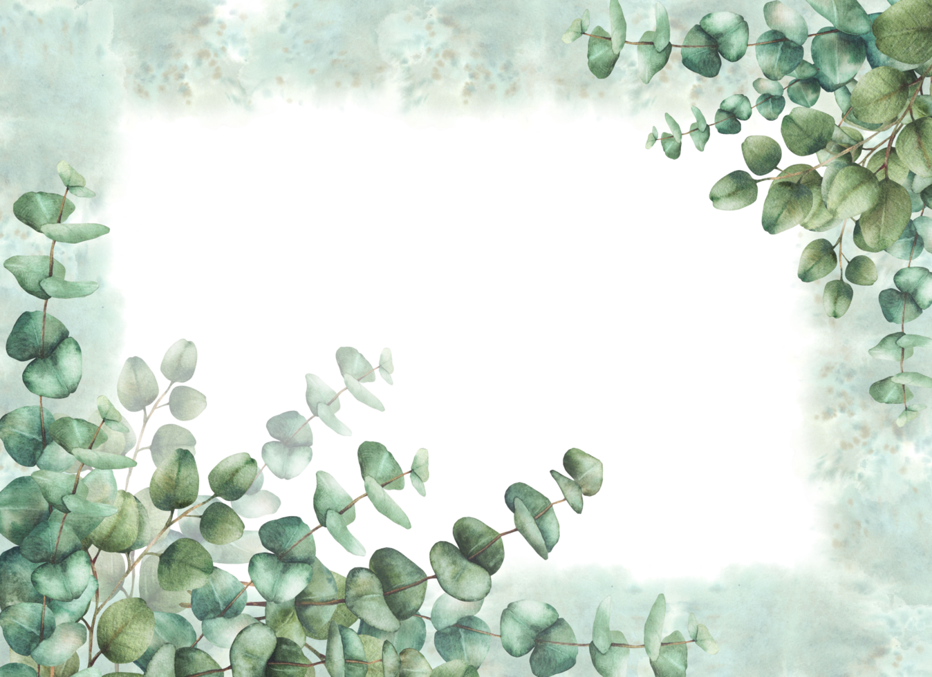 Eucalyptus plant greenery banner on watercolor splashes spotted background. Green silver dollar tree branches with round leaves. Hand drawn isolated illustration Clipart for greeting card, invitation. png