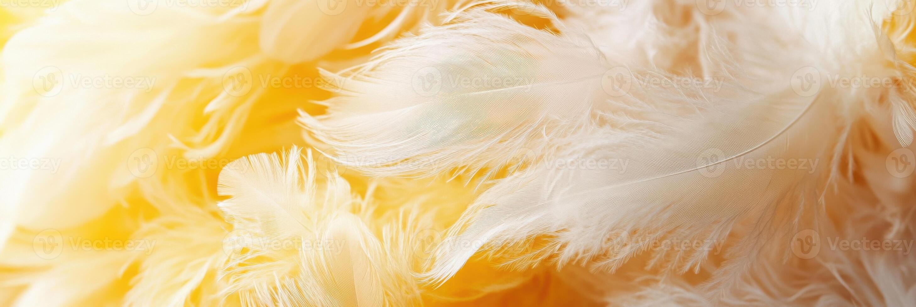 Soft white feather background with bright yellow light and fluffy texture photo