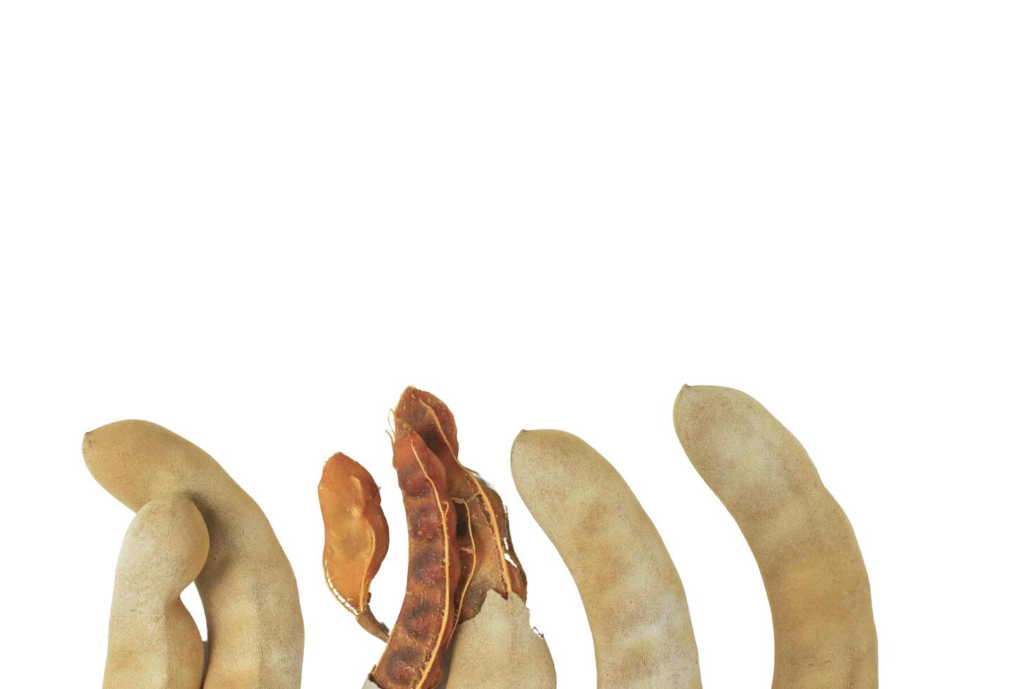 11. Cutout sour tamarind on white background. The variety with a sour taste comes from tartaric acid. Fresh pods are used in cooking to add sourness, mature pods are used to make tamarind paste. photo