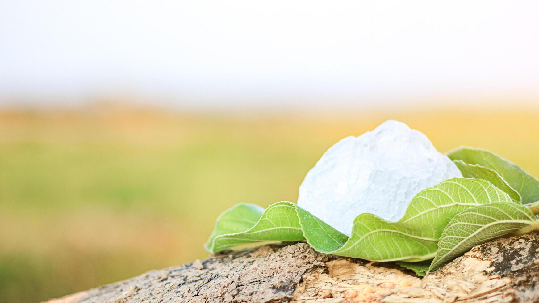 2. Pieces of alum stone on green leaf against blurred background. The connection between natural minerals and plant based ingredients in traditional practices and holistic wellness. photo