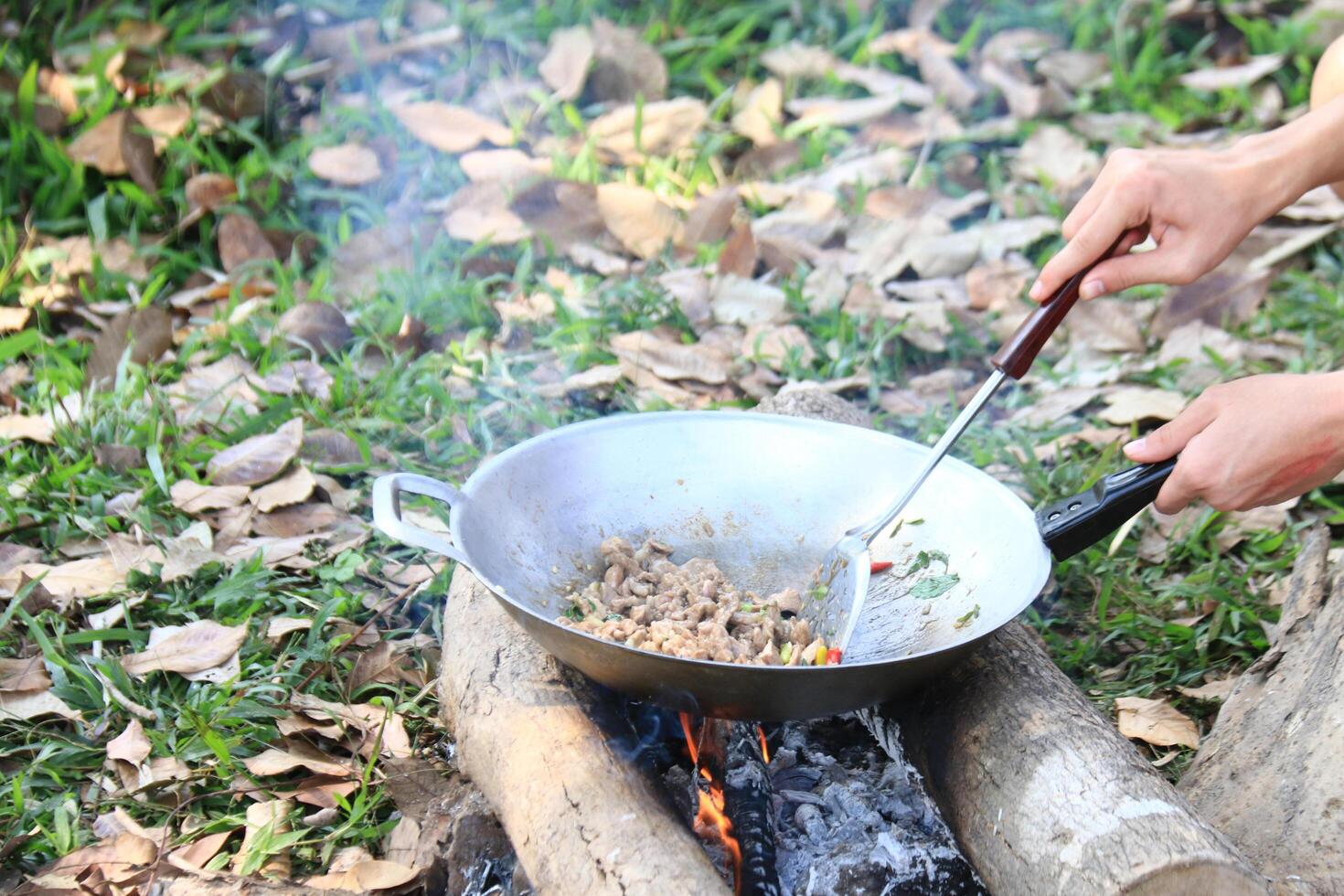 A meal is being cooked in an aluminum pan on a rustic wood fired stove. This age old cooking method is energy efficient and remains a vital part of traditional culinary practices. photo