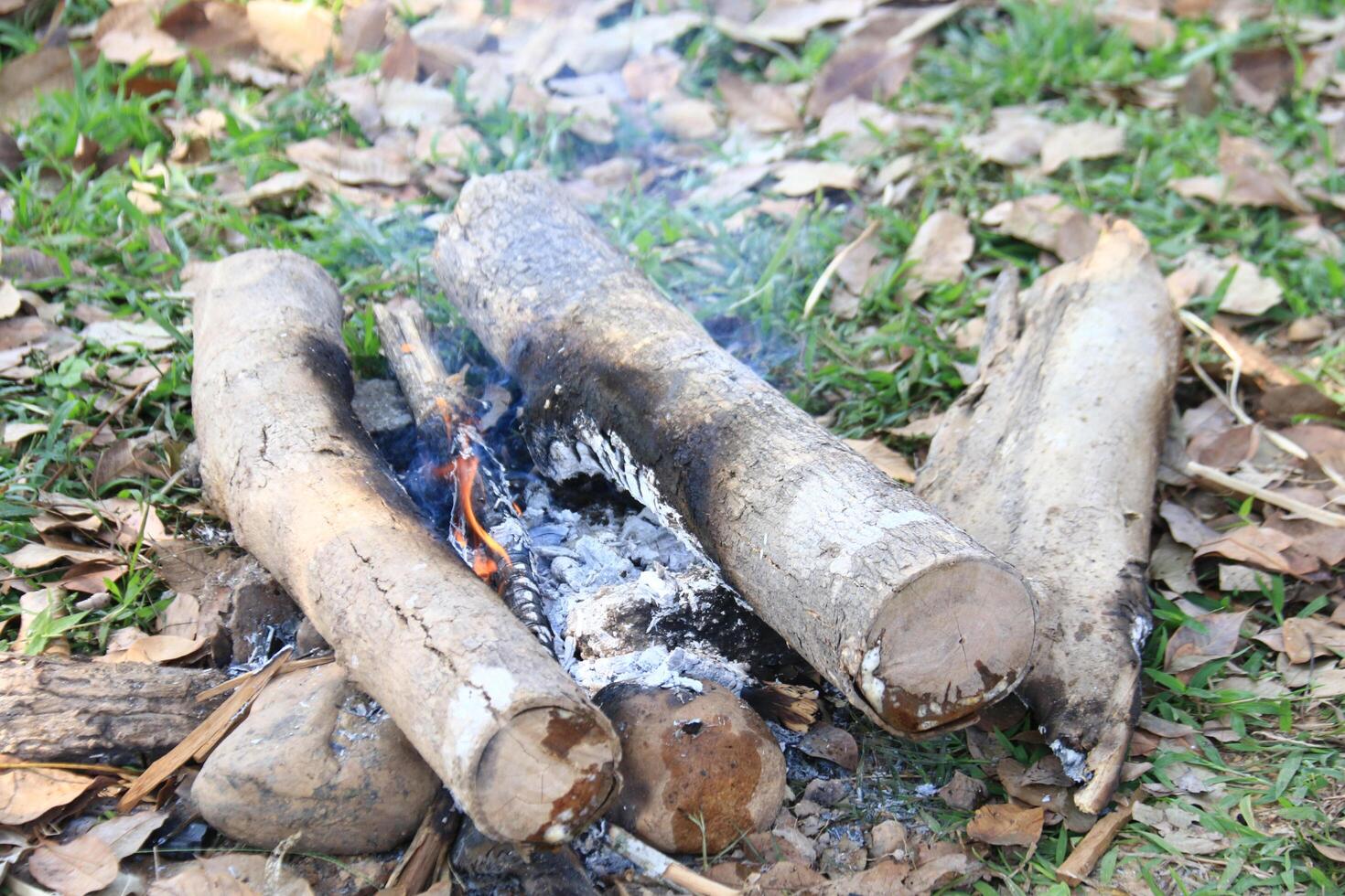 A classic wood fired stove made of solid wood is still widely used in rural areas. It represents sustainable cooking, requiring only firewood or biomass for fuel. photo