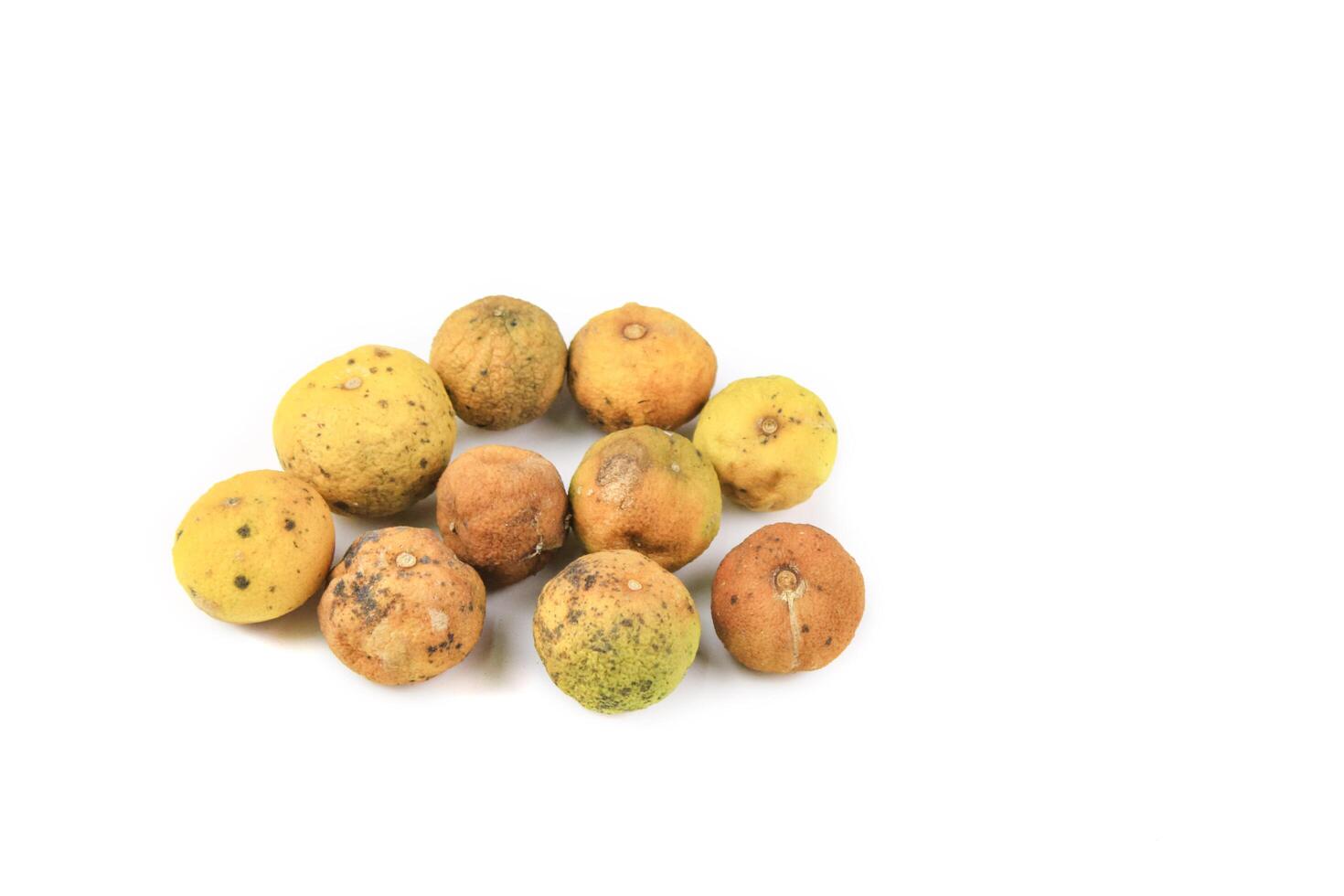 2. Yellow lemon shows signs of decay, with dark spots and shriveled skin, resulting from neglect and bacterial or fungal infection. photo