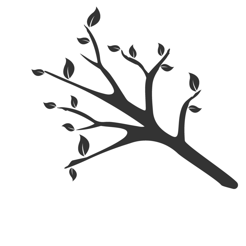 A black and white silhouette of a tree branch png