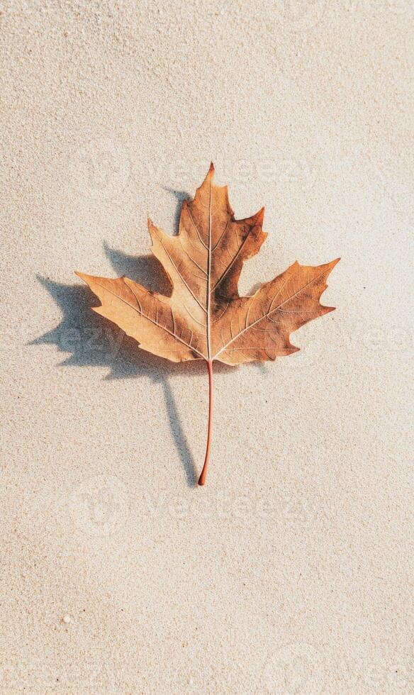 Autumnal leaf resting peacefully on a sandy surface, casting gentle shadow in subtle light photo