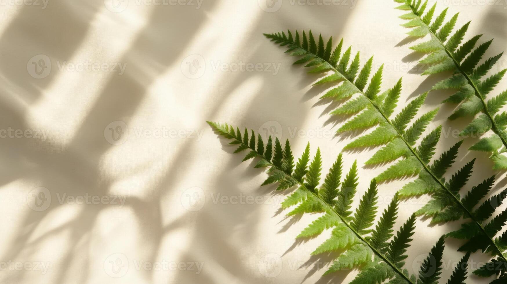 Minimalist composition featuring fern leaves casting soft shadows on a textured surface photo