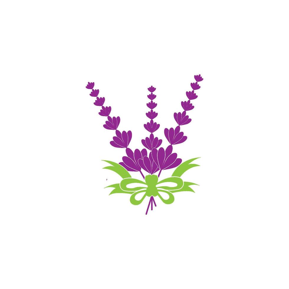Lavender flowers on a white background vector