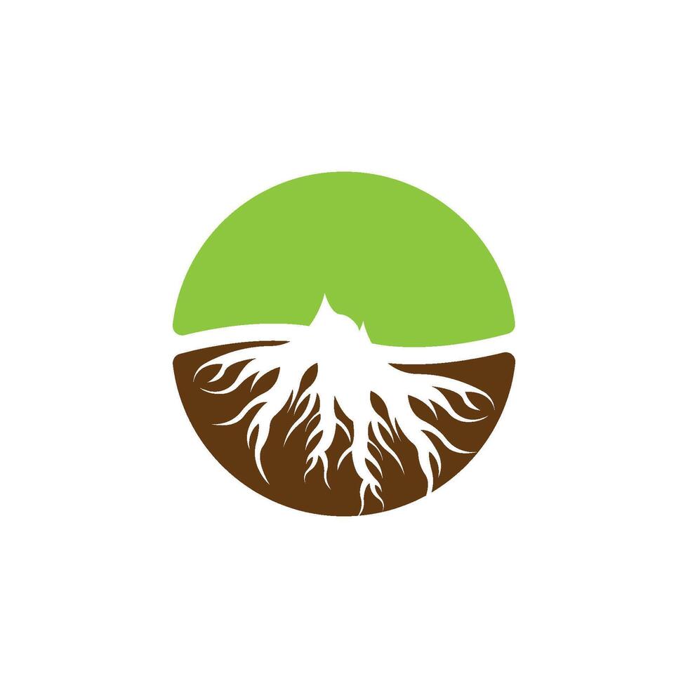 A logo with a tree and roots vector