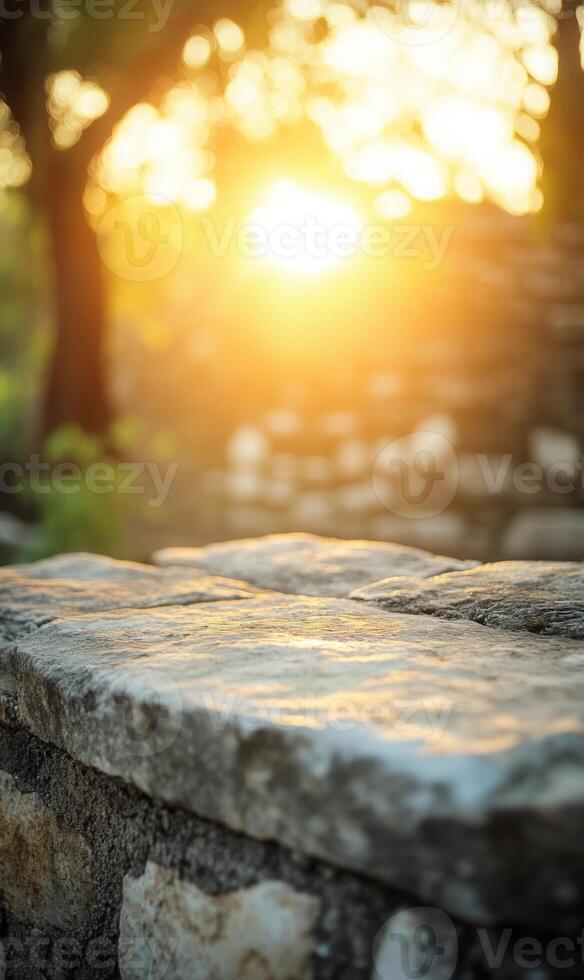 Sunlight streaming through tree branches illuminating the stone wall surface in soft focus photo
