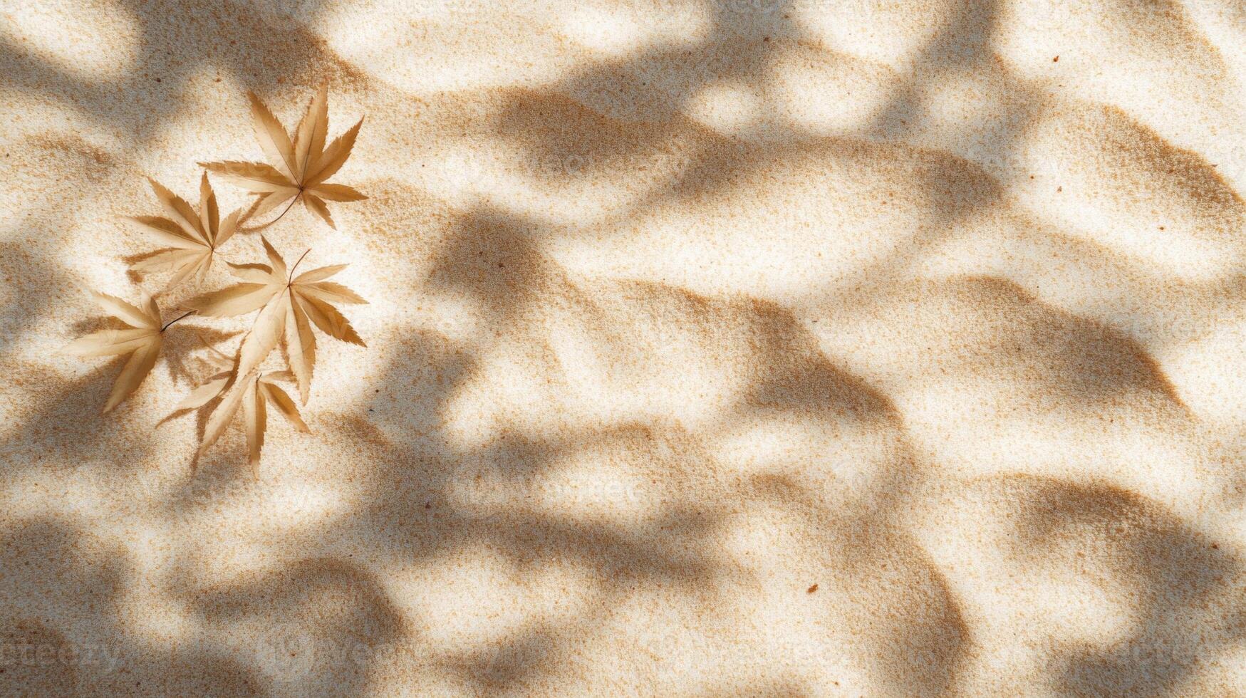 Botanical autumn display, showcasing golden leaves contrasting against textured sandy background photo