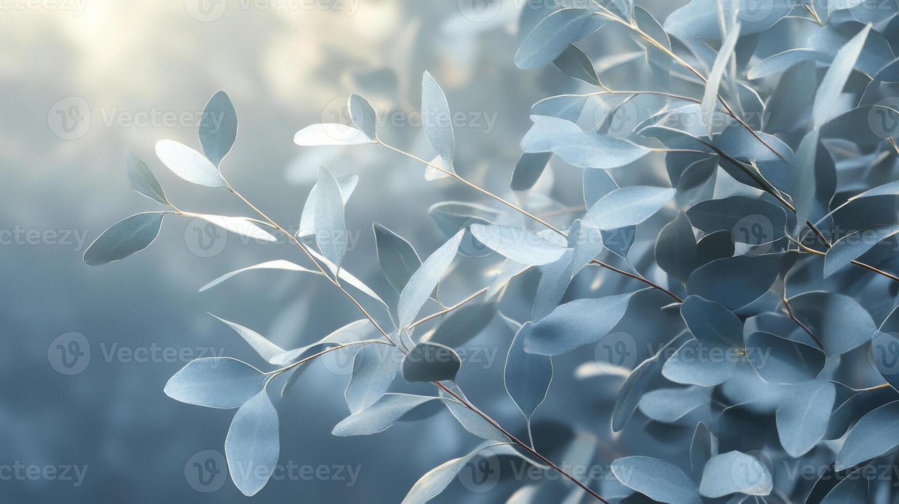 Serene eucalyptus foliage with muted tones in soft lighting evoking calmness and peace photo