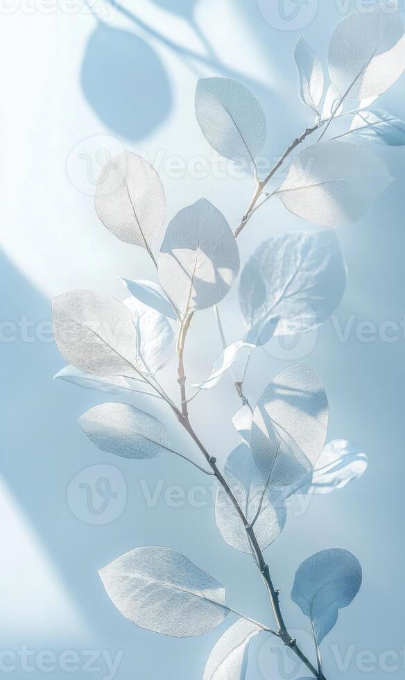 Delicate foliage with subtle blues and shadows evoking a calm and ethereal atmosphere photo