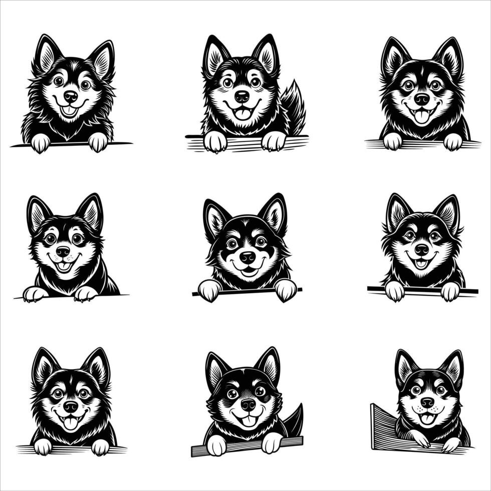 Peeking Norwegian Elkhound Dog vector