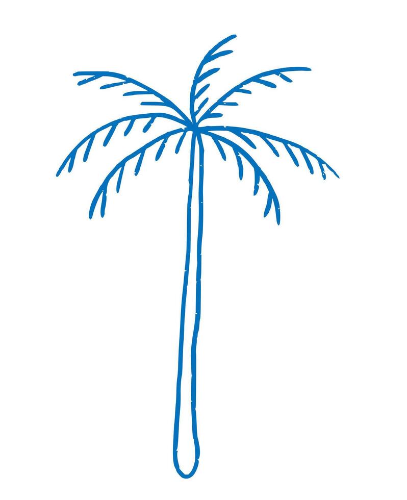 Tropical palm tree in ink sketch style. Abstract outline palm on isolated background. Design elements vector