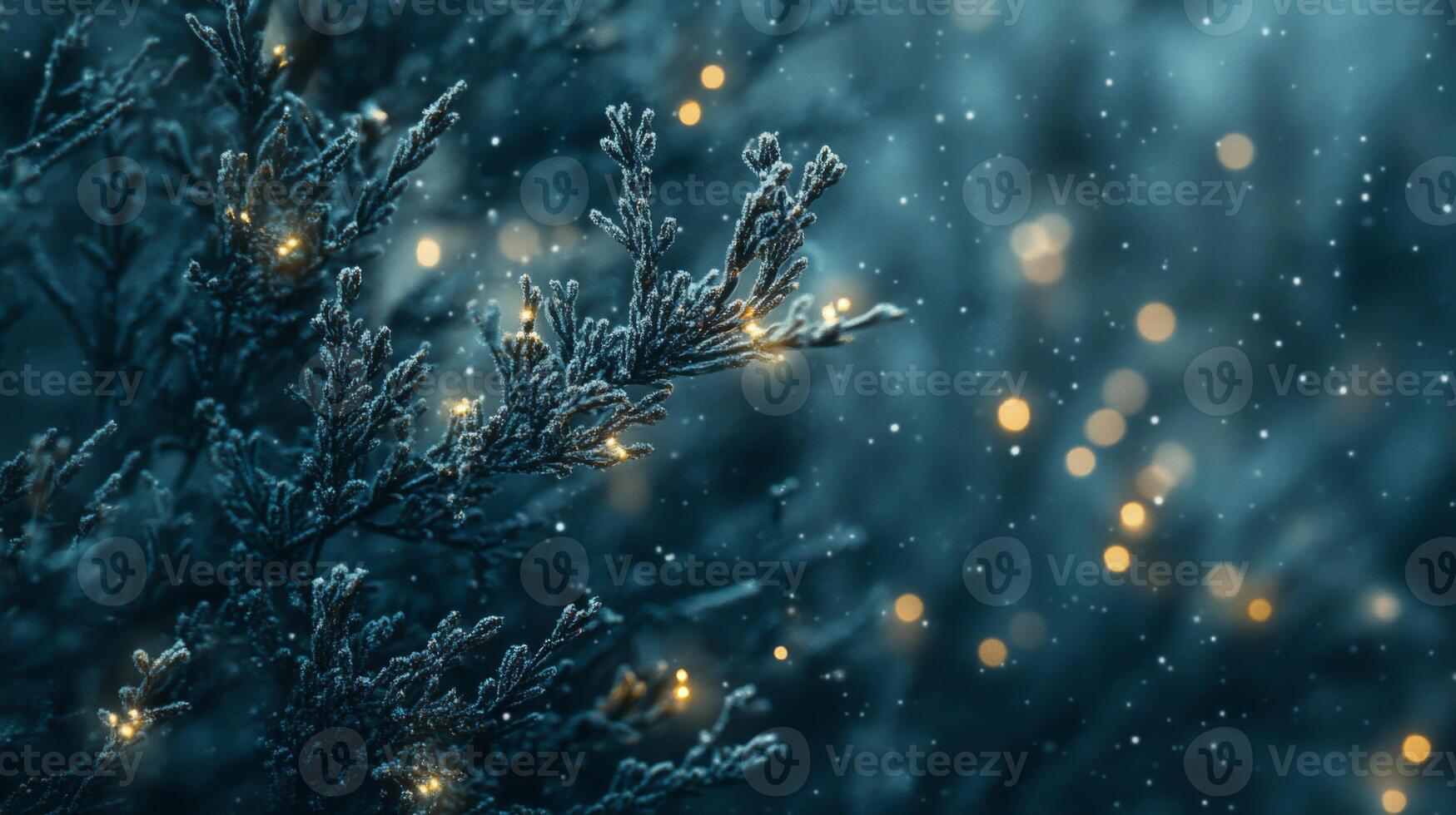 Enchanted winter, frosted juniper branch with soft bokeh and gentle snowfall backdrop photo