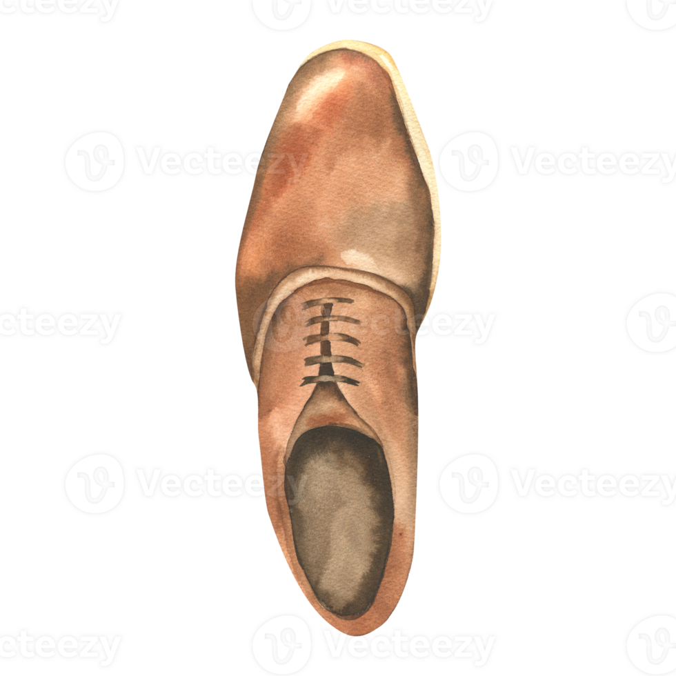 Gentlemen leather brown shoe watercolor illustration. Traditional foot boot for office, hipster style wear clipart for male poster, invitation, greeting card design. Feet wear painting png