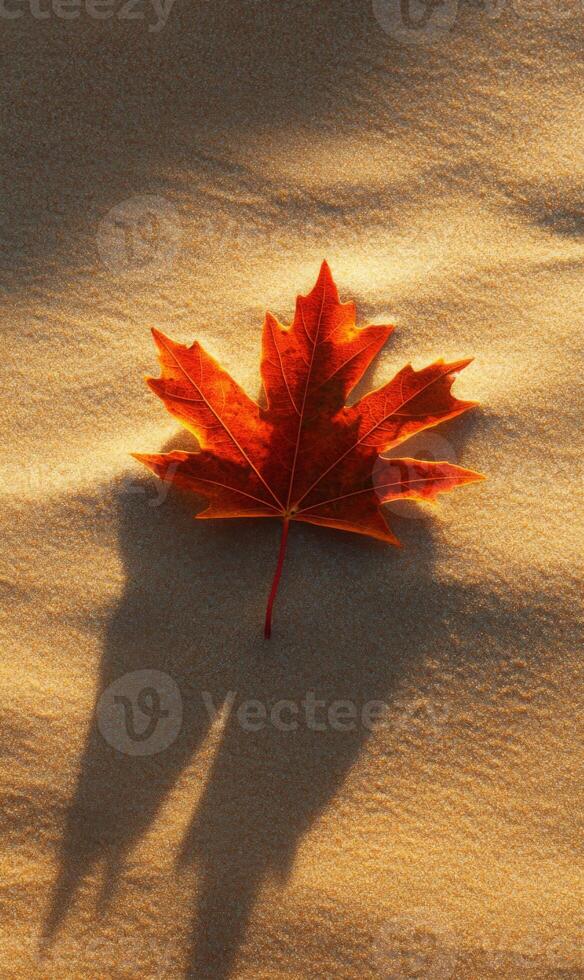 A solitary amber maple leaf delicately rests on shimmering sunlit sandy beach backdrop serene scene photo