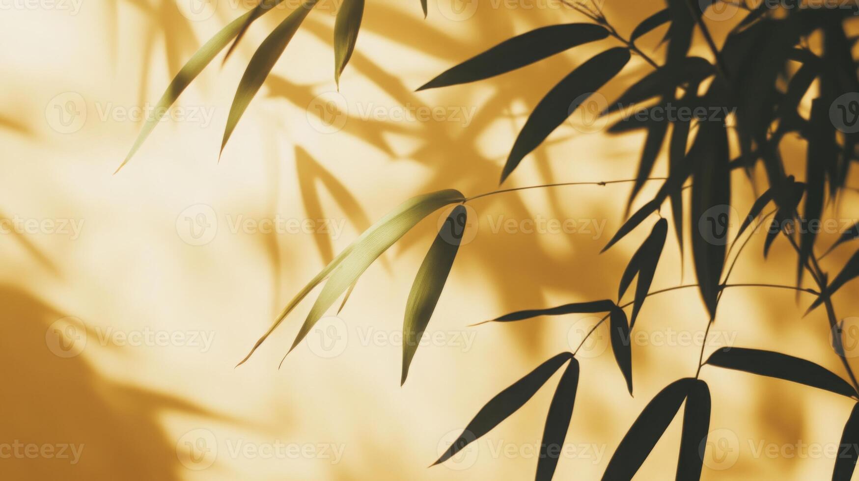 Elegant bamboo fronds casting nuanced shadows on a textured ochre background for design photo