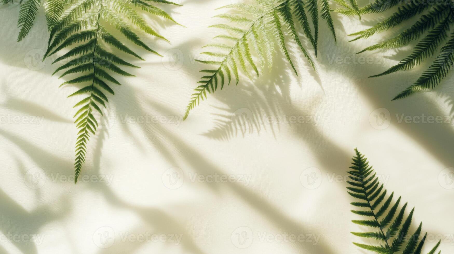 Fern fronds casting soft shadows on a neutral background creating a calming botanical scene photo