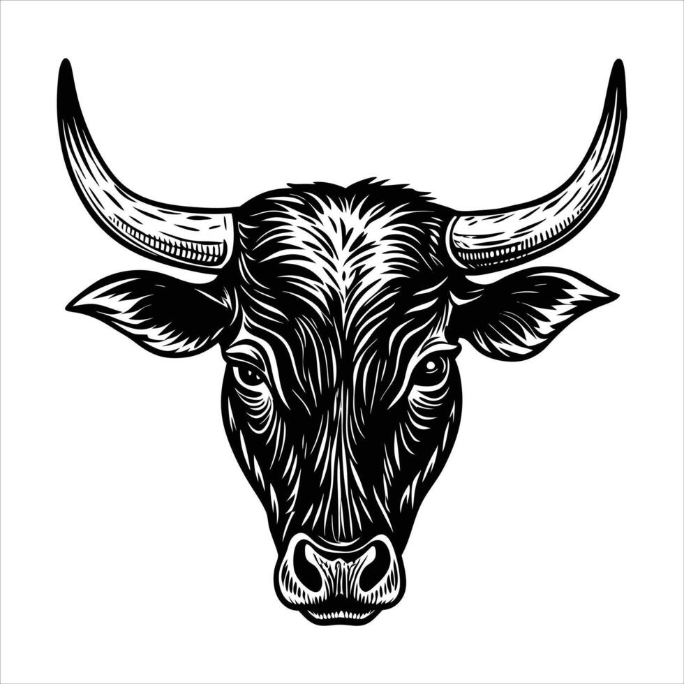 Texas Longhorn Cattle vector