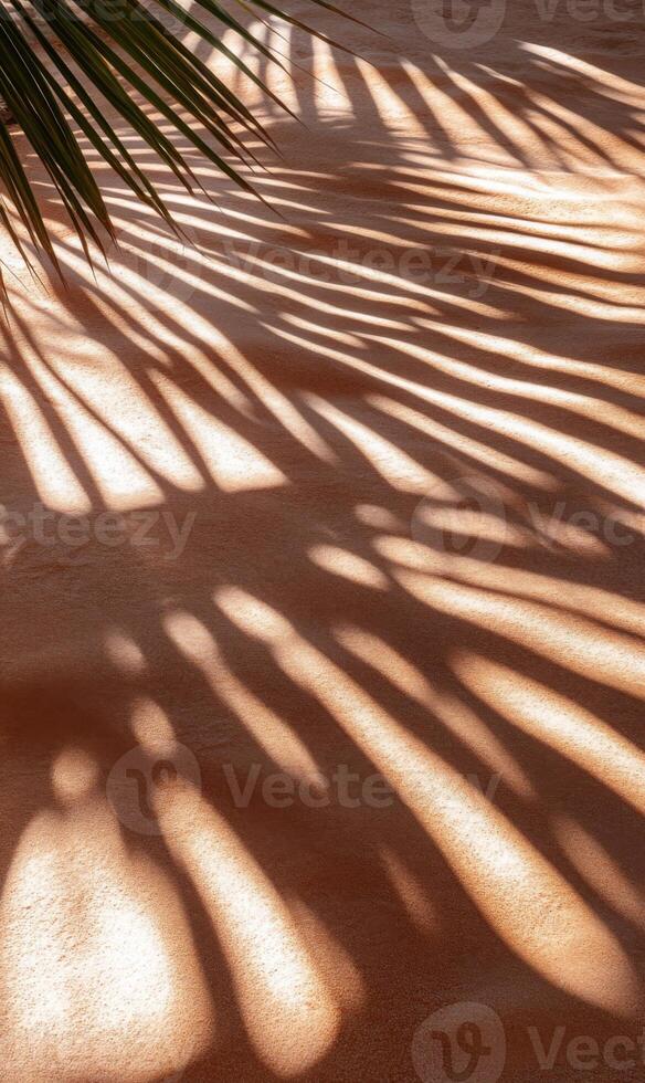 Palm frond shadows cast a linear pattern on textured beige surface during daytime photo
