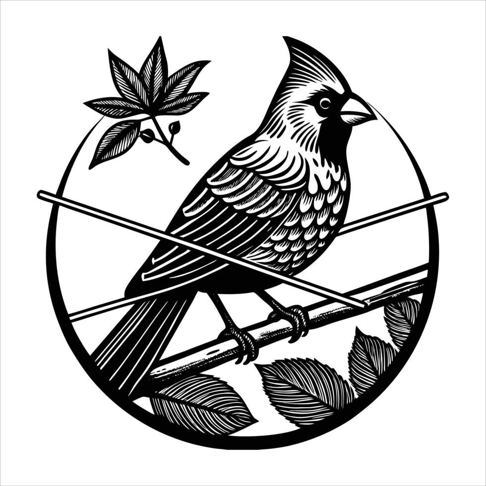 cuckoo bird sitting vector