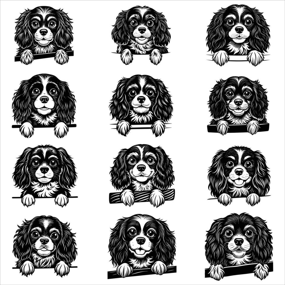 Peeking Cavalier King Charles Spaniel Dog vector