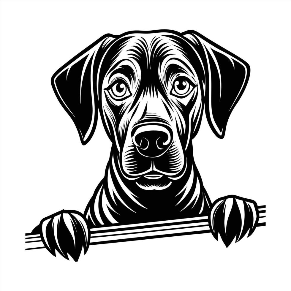 Labrador retriever dog silhouette vector