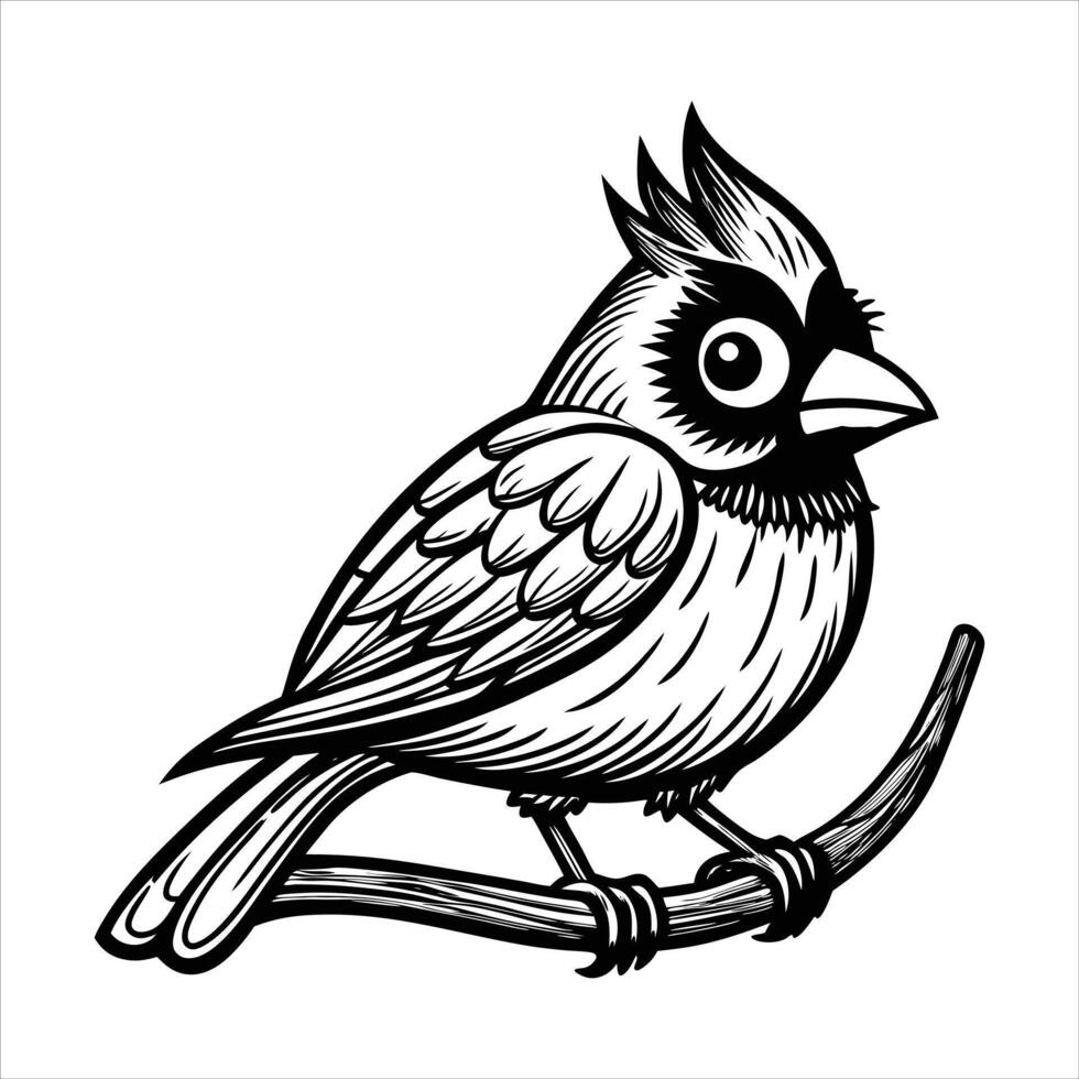 Cardinal On Branch vector
