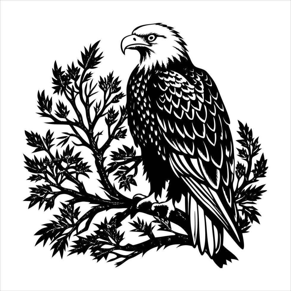 Bald eagle Bird Silhouette vector