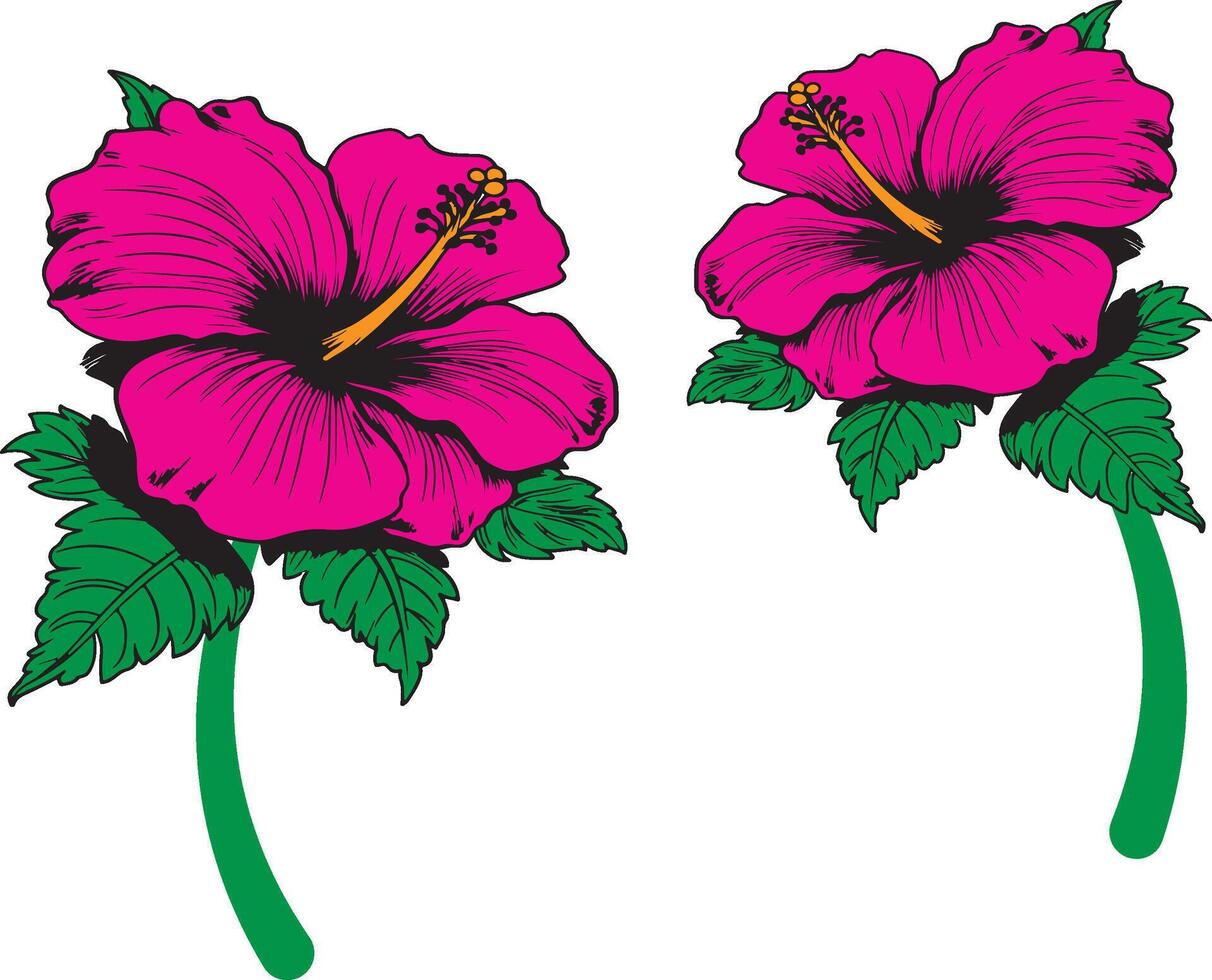 Editable Beautiful Flower vector