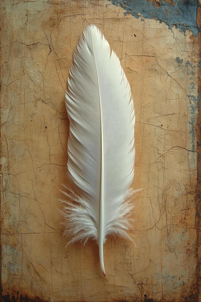 Elegant white feather resting on textured background with rustic charm. photo