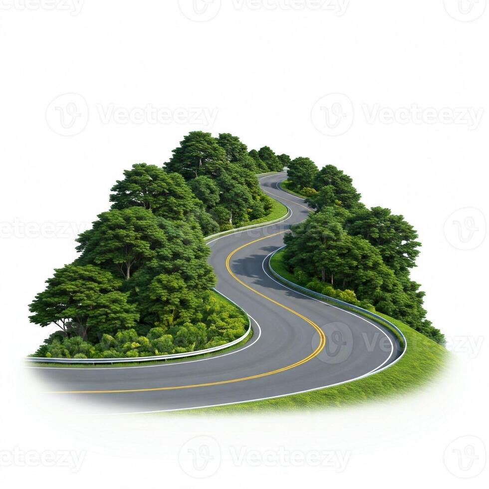 A winding road surrounded by trees and bushes photo