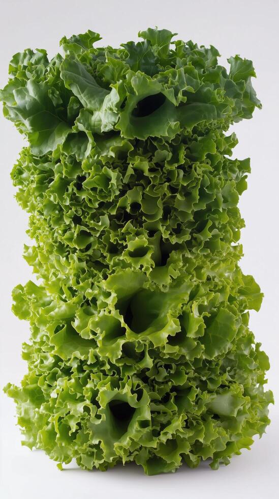 A stack of lettuce is shown on a white background photo