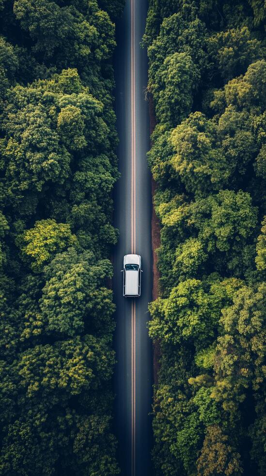 Car driving along a serene road surrounded by lush green trees during daylight hours. photo