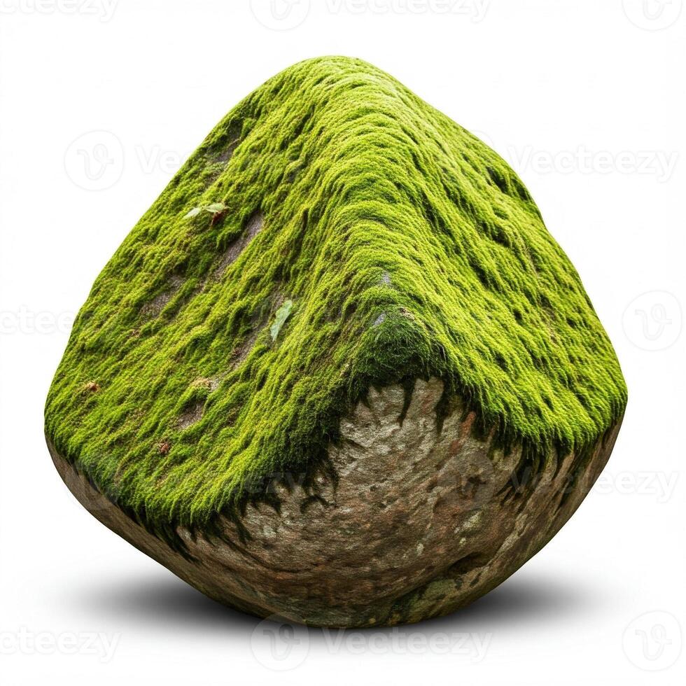 A rock with green moss on it photo