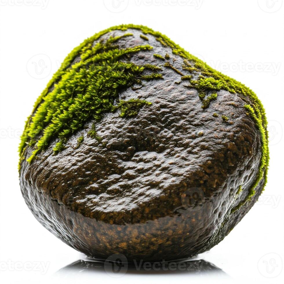 A rock with moss on it photo