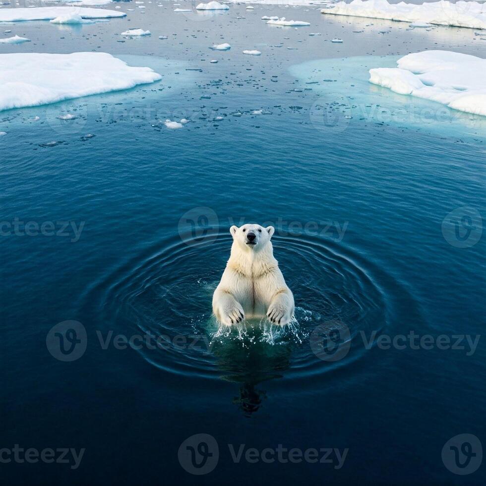 A polar bear is standing on its hind legs in the water photo