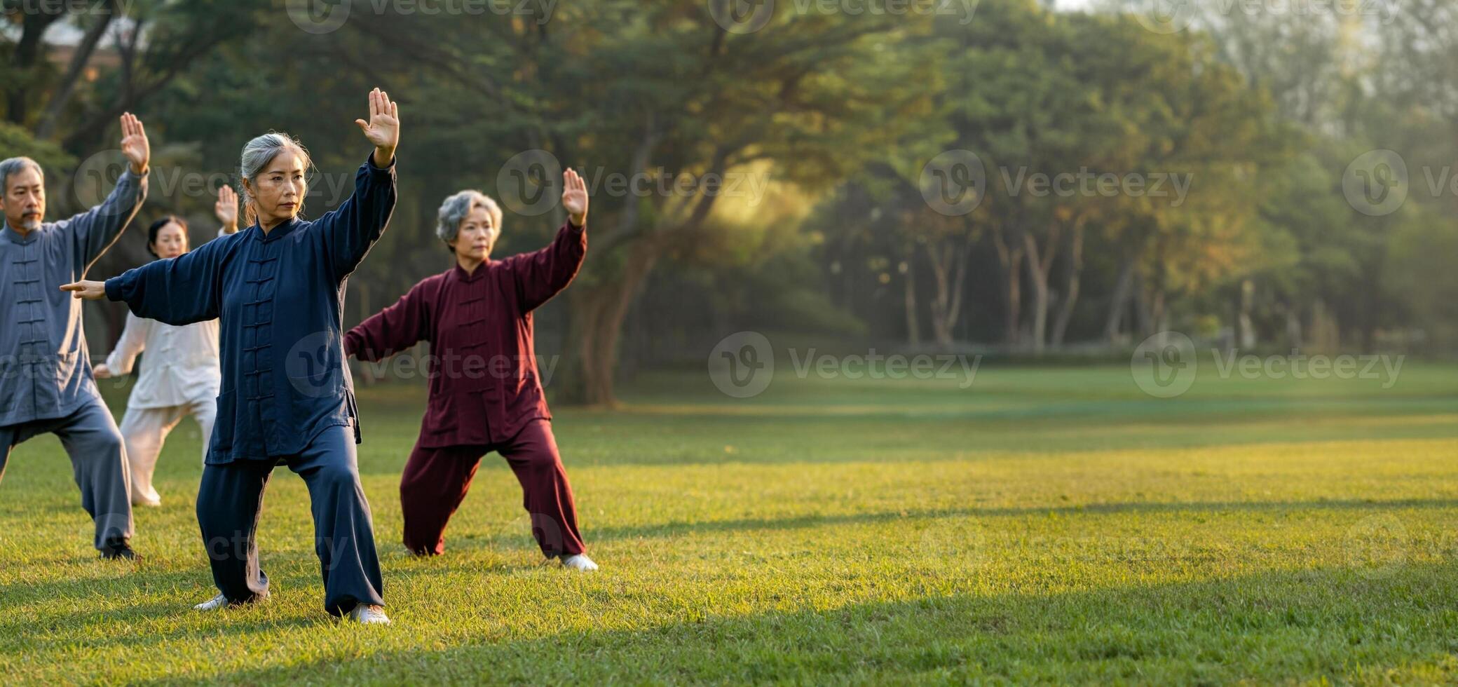 An elderly group of people doing tai chi in the park photo
