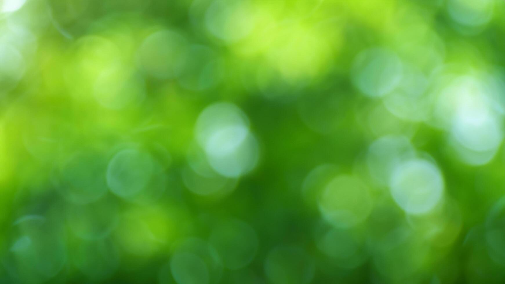 Green bokeh background, nature, sunlight, blurry, forest, design photo