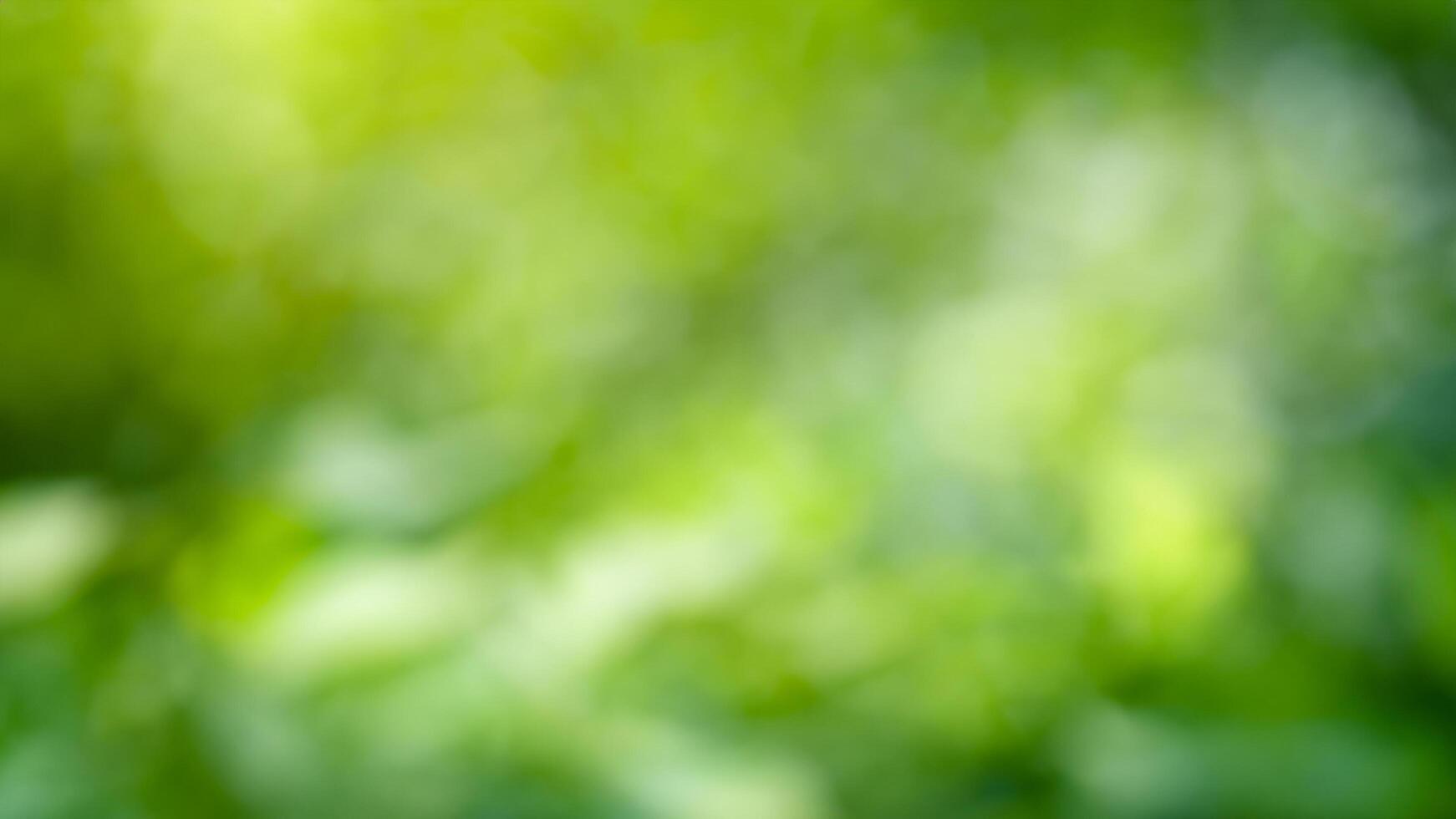 Blurred green forest background, sunlight, nature bokeh photo
