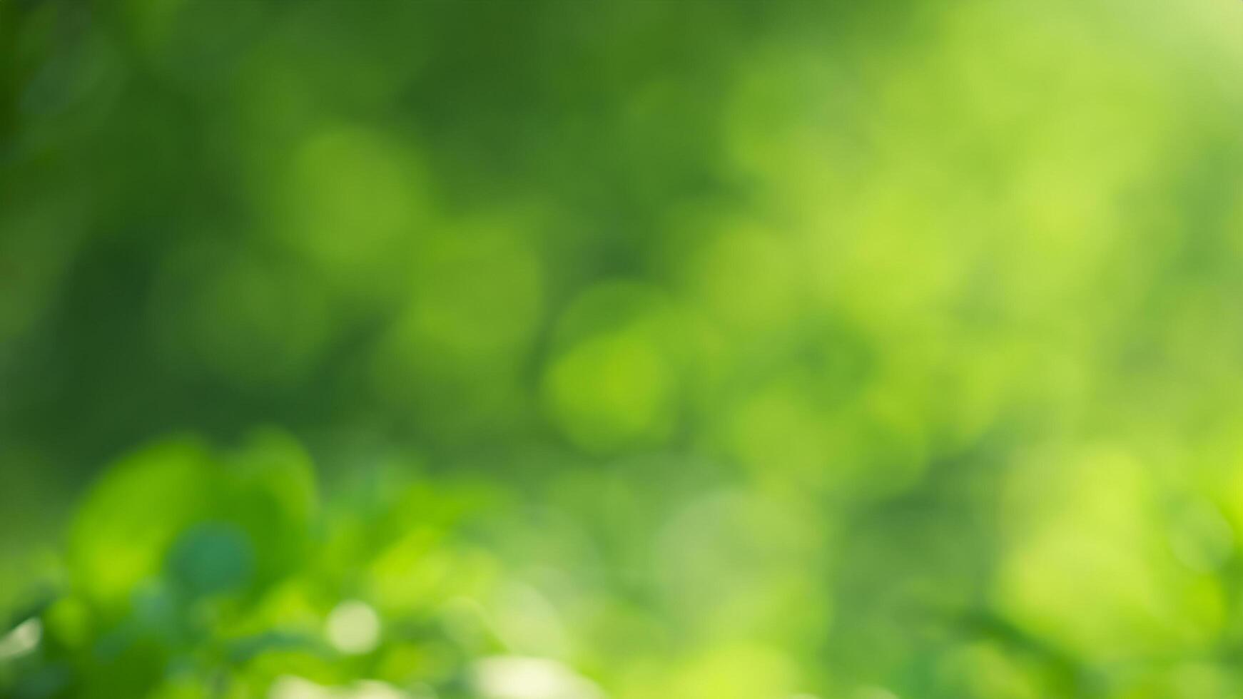Green bokeh nature background, foliage, blurred, sunlight, eco photo