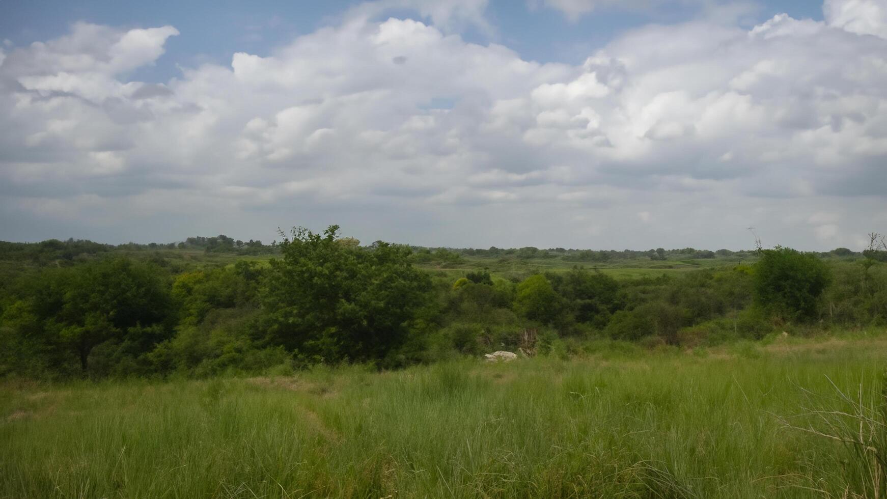 Serene grassy field, cloudy sky, distant trees, landscape photography photo