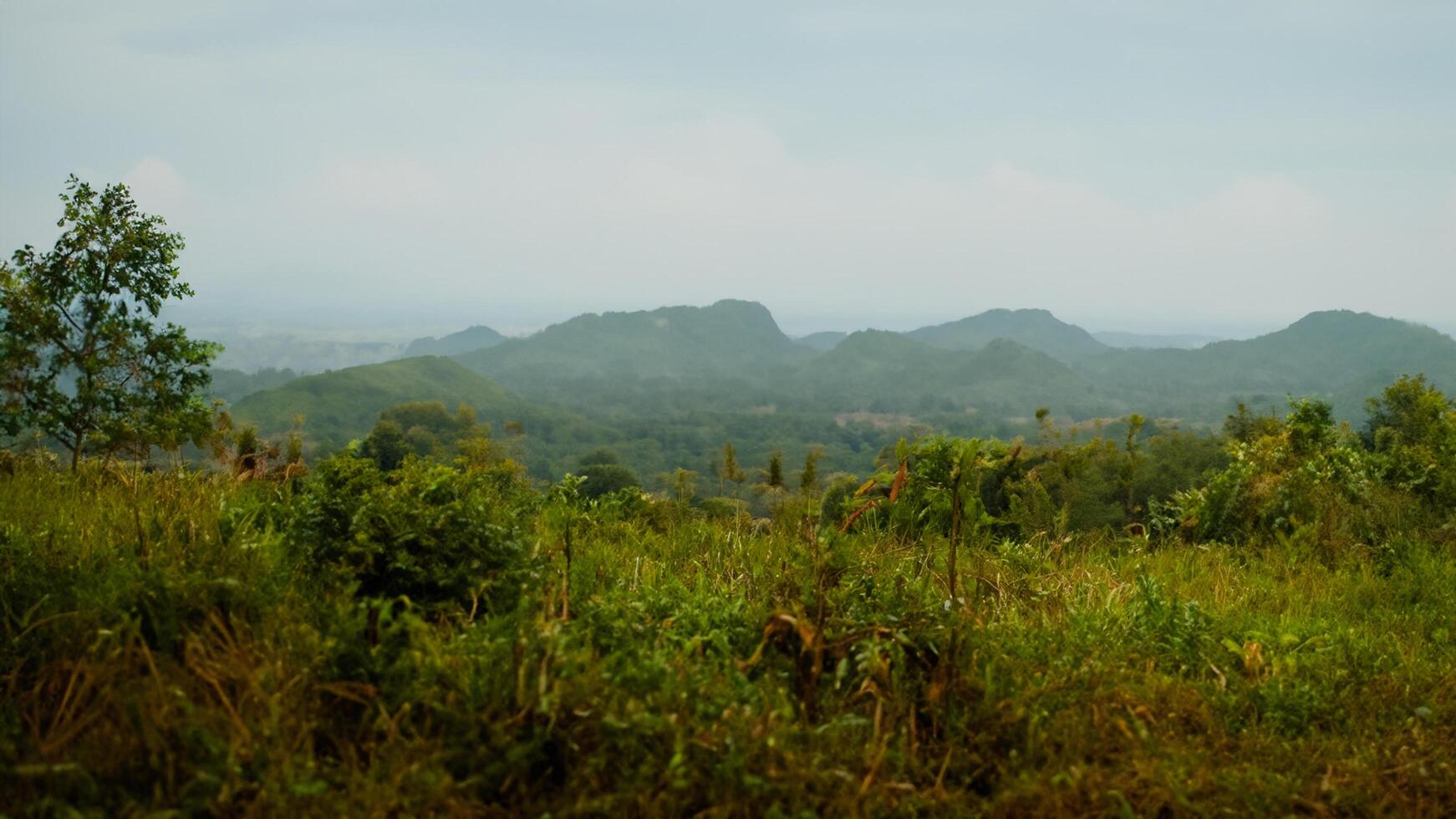 Hilltop view lush green landscape, misty mountains, rural scene photo